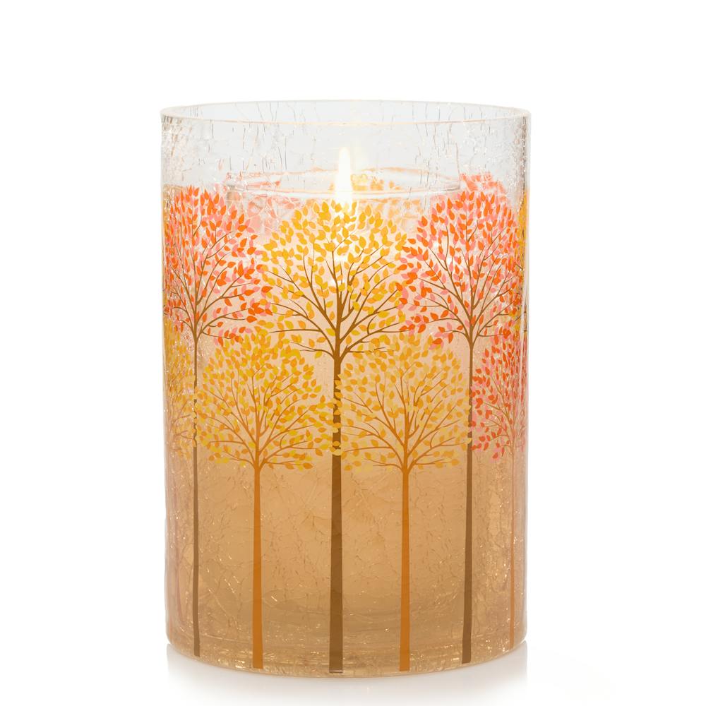 Fall Trees Glass Holder