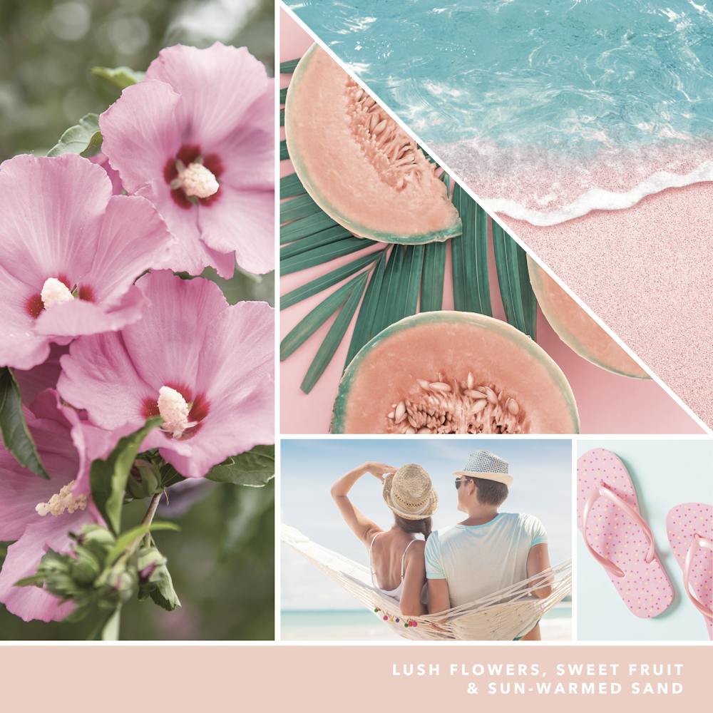 Pink Sands™ Visor Clip Fragrance Kit